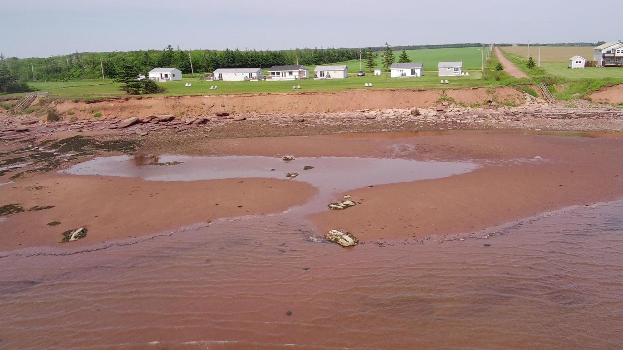 Cottages On Pei-Oceanfront Bedeque Exterior foto